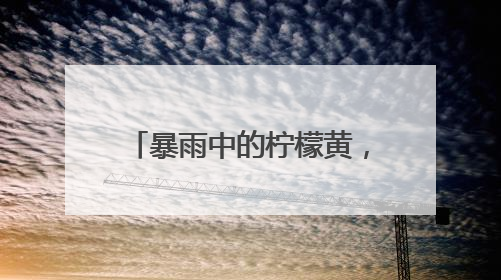 暴雨中的柠檬黄，湖北应城交警全力疏堵保畅护平安