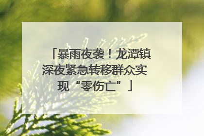 暴雨夜袭！龙潭镇深夜紧急转移群众实现“零伤亡”