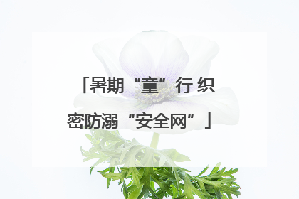 暑期“童”行 织密防溺“安全网”
