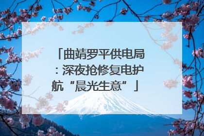 曲靖罗平供电局：深夜抢修复电护航“晨光生意”
