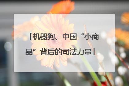 机器狗、中国“小商品”背后的司法力量