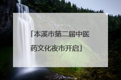 本溪市第二届中医药文化夜市开启