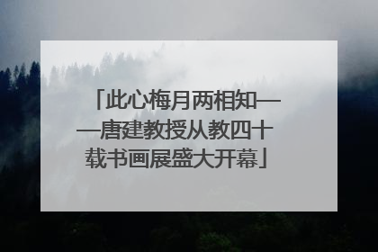 此心梅月两相知——唐建教授从教四十载书画展盛大开幕
