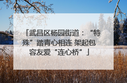武昌区杨园街道：“特殊”踏青心相连 架起包容友爱“连心桥”