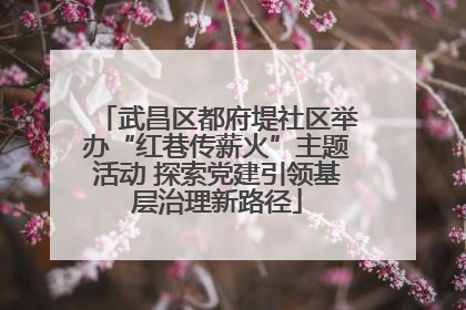 武昌区都府堤社区举办“红巷传薪火”主题活动 探索党建引领基层治理新路径