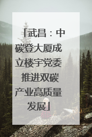 武昌：中碳登大厦成立楼宇党委 推进双碳产业高质量发展