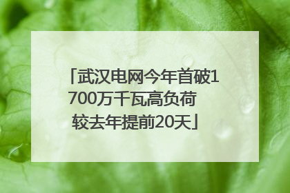 武汉电网今年首破1700万千瓦高负荷 较去年提前20天
