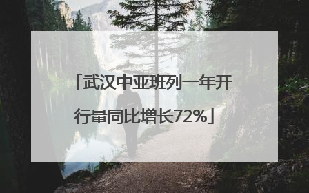 武汉中亚班列一年开行量同比增长72%