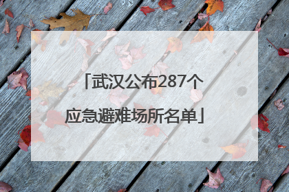 武汉公布287个应急避难场所名单