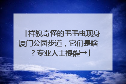 样貌奇怪的毛毛虫现身厦门公园步道，它们是啥？专业人士提醒→