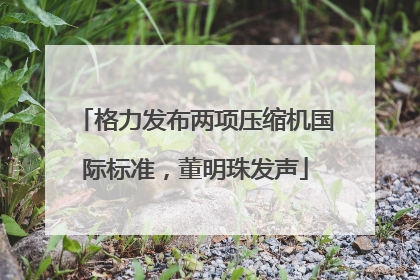 格力发布两项压缩机国际标准，董明珠发声
