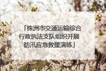 株洲市交通运输综合行政执法支队组织开展防汛应急救援演练