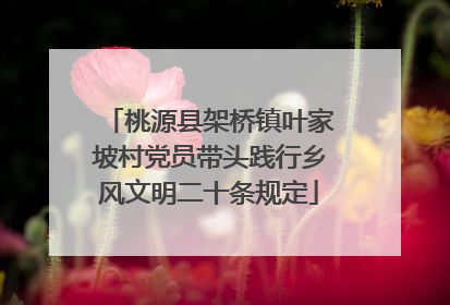 桃源县架桥镇叶家坡村党员带头践行乡风文明二十条规定