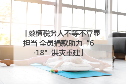 桑植税务人不等不靠显担当 全员捐款助力“6·18”洪灾重建