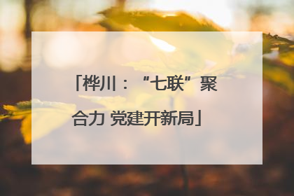 桦川：“七联”聚合力 党建开新局