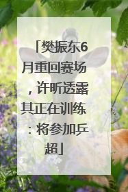 樊振东6月重回赛场，许昕透露其正在训练：将参加乒超
