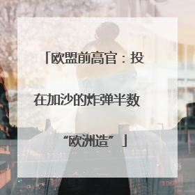 欧盟前高官：投在加沙的炸弹半数“欧洲造”