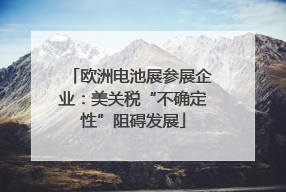 欧洲电池展参展企业：美关税“不确定性”阻碍发展