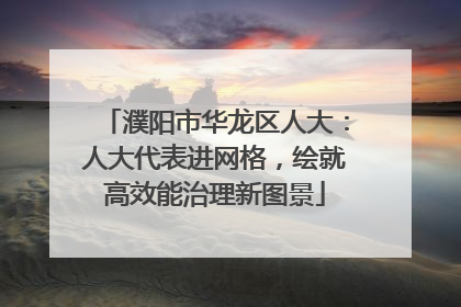 濮阳市华龙区人大：人大代表进网格，绘就高效能治理新图景