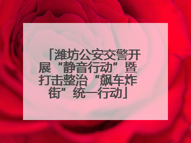 潍坊公安交警开展“静音行动”暨打击整治“飙车炸街”统一行动