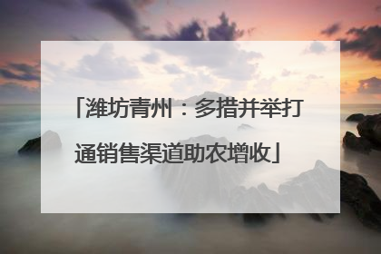 潍坊青州：多措并举打通销售渠道助农增收