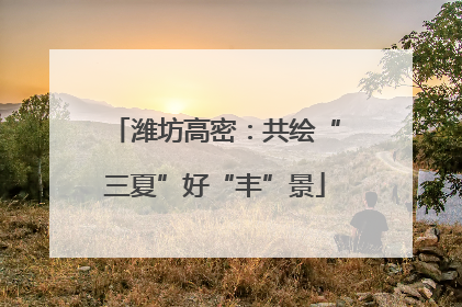潍坊高密：共绘“三夏”好“丰”景