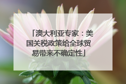 澳大利亚专家：美国关税政策给全球贸易带来不确定性