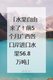 水果自由来了！前5个月广西各口岸进口水果56.8万吨