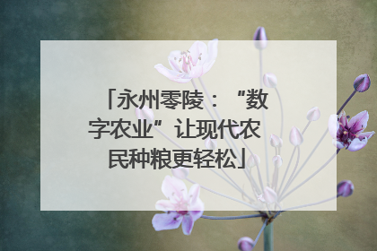 永州零陵：“数字农业”让现代农民种粮更轻松