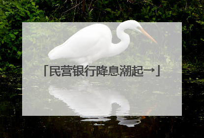 民营银行降息潮起→