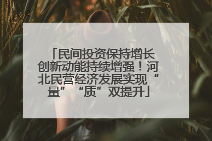 民间投资保持增长 创新动能持续增强！河北民营经济发展实现“量”“质”双提升