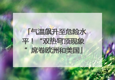 气温飙升至危险水平！“双热穹顶现象”席卷欧洲和美国