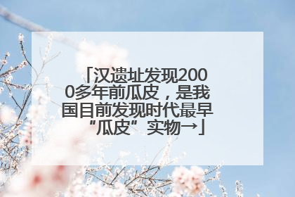 汉遗址发现2000多年前瓜皮，是我国目前发现时代最早“瓜皮”实物→