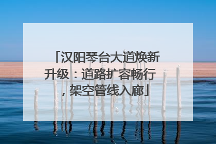 汉阳琴台大道焕新升级：道路扩容畅行，架空管线入廊