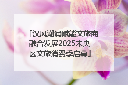 汉风潮涌赋能文旅商融合发展2025未央区文旅消费季启幕
