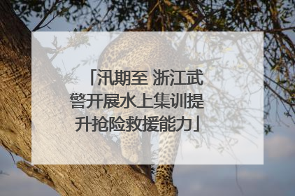 汛期至 浙江武警开展水上集训提升抢险救援能力