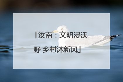 汝南：文明浸沃野 乡村沐新风