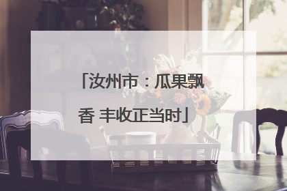 汝州市：瓜果飘香 丰收正当时