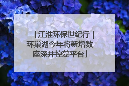 江淮环保世纪行｜环巢湖今年将新增数座深井控藻平台