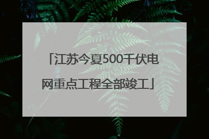 江苏今夏500千伏电网重点工程全部竣工