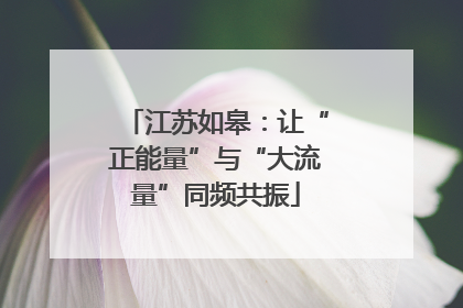 江苏如皋：让“正能量”与“大流量”同频共振