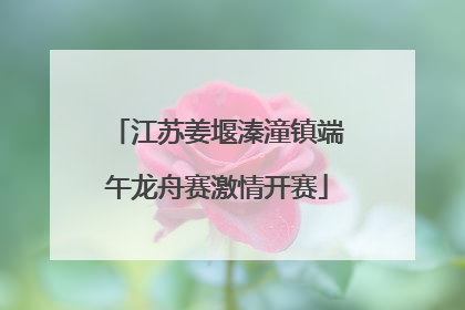 江苏姜堰溱潼镇端午龙舟赛激情开赛
