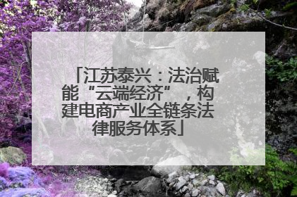 江苏泰兴：法治赋能“云端经济”，构建电商产业全链条法律服务体系