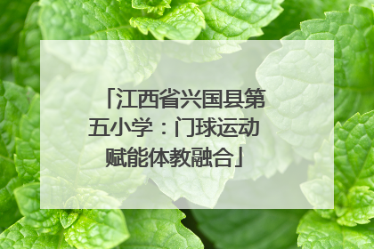 江西省兴国县第五小学：门球运动赋能体教融合