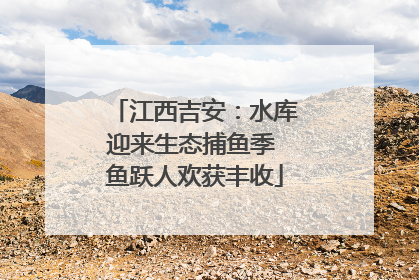 江西吉安：水库迎来生态捕鱼季 鱼跃人欢获丰收