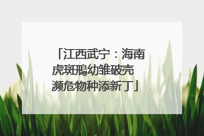 江西武宁：海南虎斑鳽幼雏破壳 濒危物种添新丁