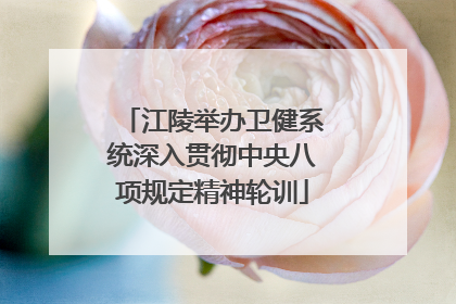 江陵举办卫健系统深入贯彻中央八项规定精神轮训