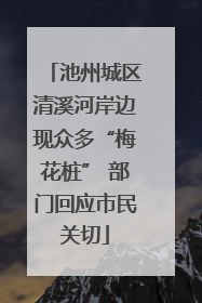 池州城区清溪河岸边现众多“梅花桩” 部门回应市民关切