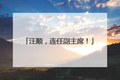 汪顺，连任副主席！