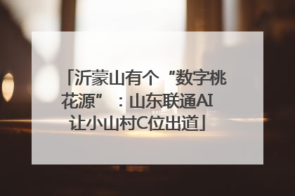 沂蒙山有个“数字桃花源”：山东联通AI让小山村C位出道
